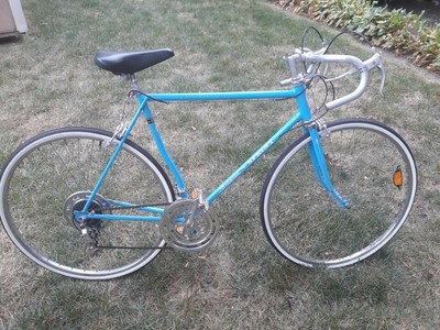 1988 schwinn sprint